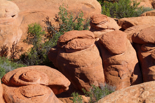 Swirly rock formations in Arches National Park near Moab, Utah