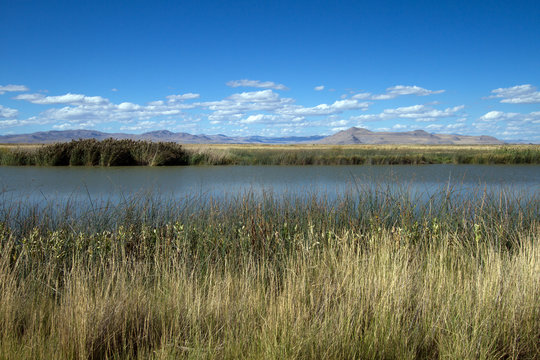 Water, grass, and sky in autumn at Bear River Migratory Bird Refuge in Utah