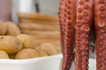 Cooked octopus.