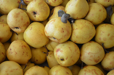 ripe pears for sale