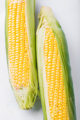 Two cob of corn  isolated on white background © aneta_gu