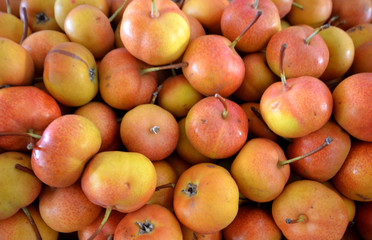 ripe pears for sale