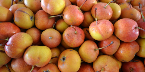 ripe pears for sale