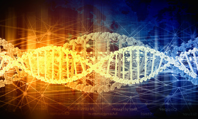 DNA molecule