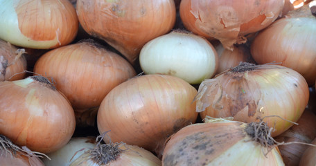 onion in a market for sale