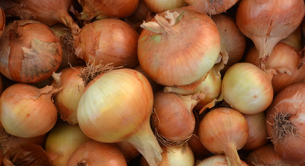 onion in a market for sale
