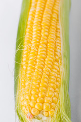 Cob of corn  isolated on white background © aneta_gu
