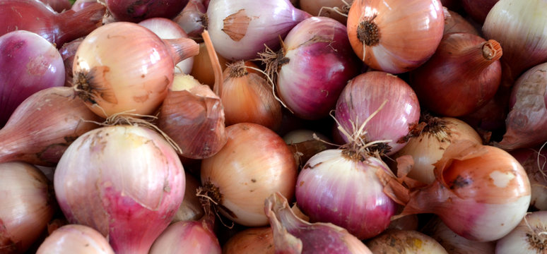 onion in a market for sale