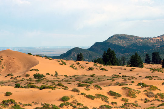 Coral Pink Sand Dunes State Park and the distant landscape in Utah