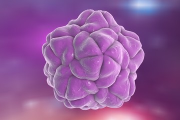 Satellite tobacco mosaic virus on colorful background. A model is built using data of viral macromolecular structure furnished by Protein Data Bank (PDB 2BUK)