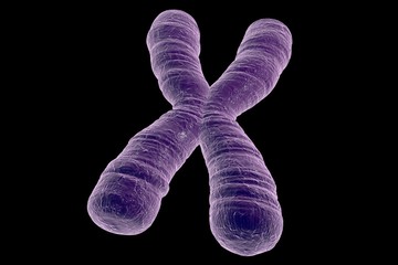 Chromosome isolated on black background