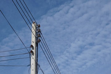 abstract electric wire with bird