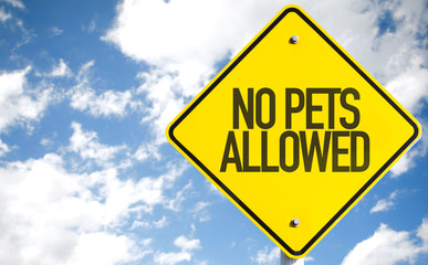 No Pets Allowed sign with sky background