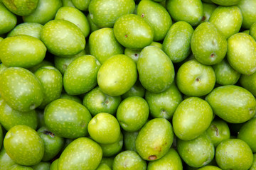 Freshly harvested olives viewed from up close