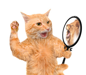 Obraz premium Cat looking into the mirror and seeing a reflection of a lion.