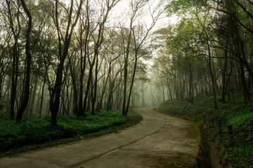 Obraz premium Country Road