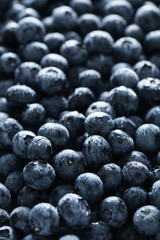 Blueberries background, close up, tasty and sweet