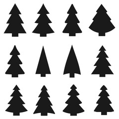 Weihnachtsbäume - 92018383