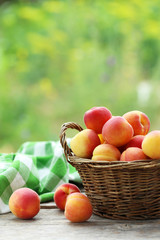 Fresh apricots in basket on a grey wooden background, ourdoors