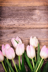 Tulips over old wood