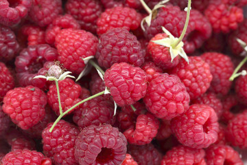 Red raspberries