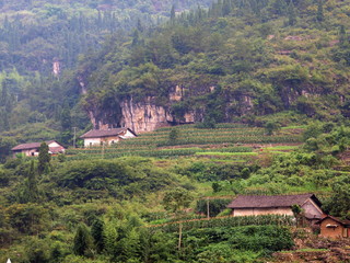 Naklejka premium Yangtze Fluss (Jangtsekiang) China 