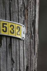 telephone pole tag