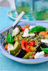 Lentil, Roasted Eggplant and Zucchini Salad with Mozzarella Cheese