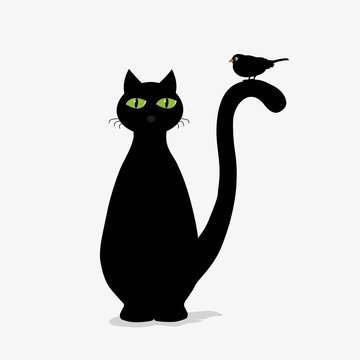 Cute black cat and bird