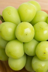 ブドウ　シャインマスカット