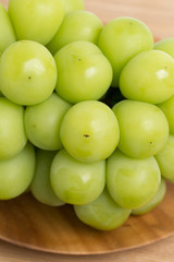 ブドウ　シャインマスカット