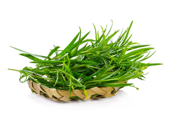 Tarragon herbs close up isolated on white