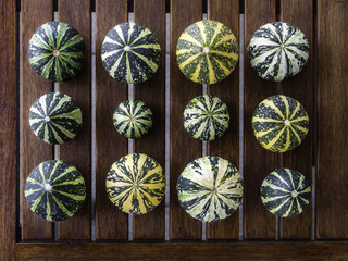 Cucurbita pepo still life green pumkins organized