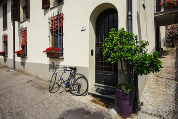 Fototapeta na wymiar bike loaded with flowers standing in front of an old door