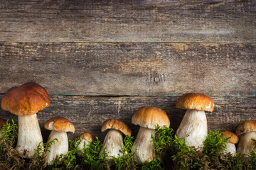 food background with boletus mushrooms and moss