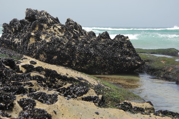 rocks in ocean