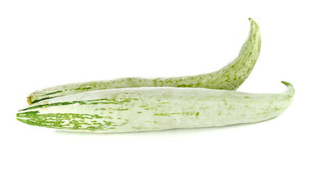 Snake gourd on white background