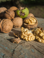 pile of walnuts and cracked walnut kernels on a wooden chair