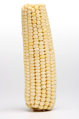 Corn on the cob