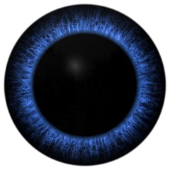 Eye iris generated