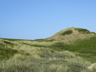 Grasdüne Sylt