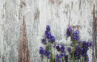 Naklejka premium lavender flowers