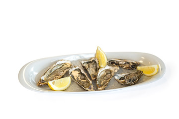fresh oysters on ice with lemon