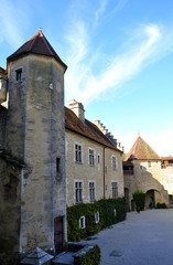 Fototapeta na wymiar Château du Pin (Jura)