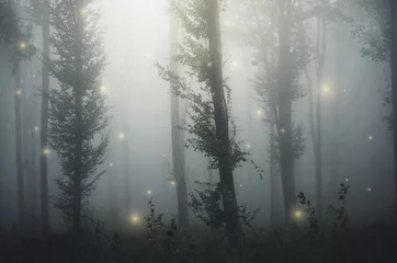 Gordijnen sparkles in fairytale forest © andreiuc88