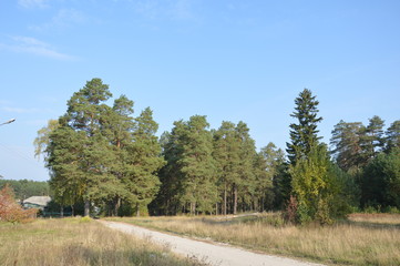 Obraz premium Сентябрь