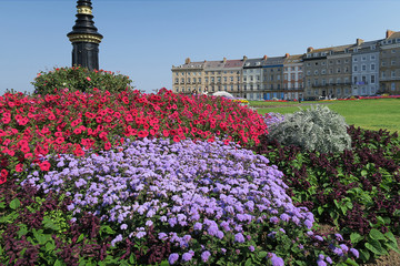 Whitby flower bed - 92035778
