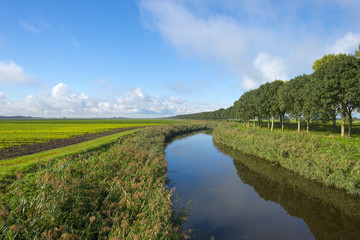 Canal through a field with vegetables at fall