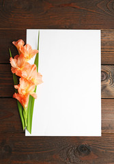 Blank card with beautiful gladiolus on wooden background