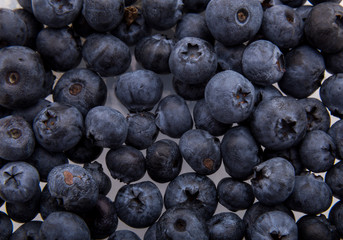 Freshly picked blueberries